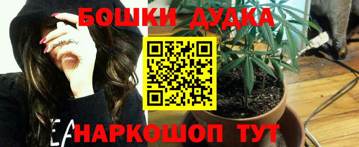 Шишки марихуана White Widow  Каннабис OG Kush  Тосно  Каннабис марихуана  Вход с VPN 